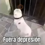 fuera fuera depresion 🗣