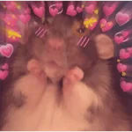 💕💕 EXPLOSIÓN DE AMOR 💕💕