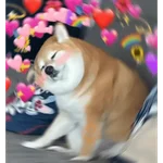 💕💕 EXPLOSIÓN DE AMOR 💕💕