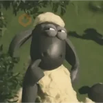reacciones tiktok