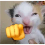 reacciones tiktok