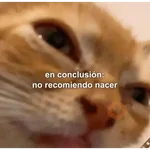 😺 DECILO CON UN GATO 😺
