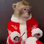 Navidad Moods🎅🏻🎄