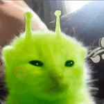 Memes - Gato Alien Verde 🟢🐈