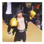 Ring Royale Abelito 🥊🥊