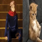 Jujutsu Kaisen 3