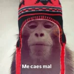🐵🐒 Changos con Frío 🐒🐵