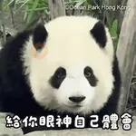 香港海洋公園 - 《大熊貓「加加」「得得」日常貼圖1》
