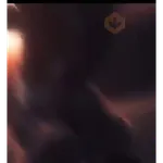 anime 3