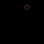 😎 SHITPOST MOV 😆