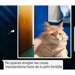 Mi paquete
