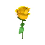 Flores amarillas 💛🌻