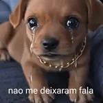 Reações com animais🐶🐱🐵