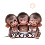 Monitos 🙈 coquetos ❣️💅