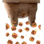 Gatito Polvitos Mágicos💞