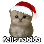 🎄🎁 NAVIDAD 🎁🎄😻 