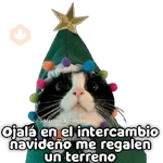 🎄🎁 NAVIDAD 🎁🎄😻 