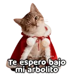 🎄🎁 NAVIDAD 🎁🎄😻 