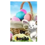 Felices Pascuas 🐰🐇🥳