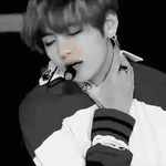 bts dark coquetos