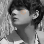 bts dark coquetos