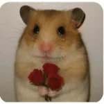 Memes lindos - San Valentin💕