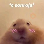 Memes lindos - San Valentin💕