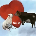 Memes lindos - San Valentin💕