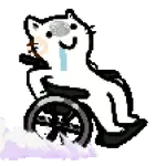 🧿Memes pop 9 😎🤣🤭