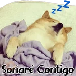 Animales Friolentos 🥶❄