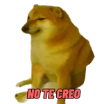 PERRITO MEME (CHEEMS) 