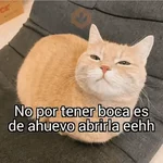 🙈 ANIMALITOS CON TEXTOS 😎