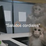 🙈 ANIMALITOS CON TEXTOS 😎