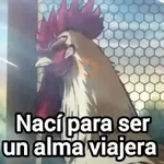 rooster fighter🐓gallo anime🐔