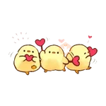 Pollito lindo🐥💛 