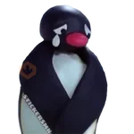 Pingu 🐧