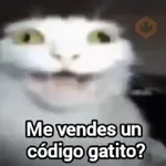 📟 Codigo gatito fortnite 🐱🐾