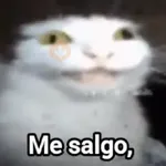 📟 Codigo gatito fortnite 🐱🐾