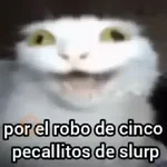 📟 Codigo gatito fortnite 🐱🐾