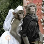 Memes para novios 💕