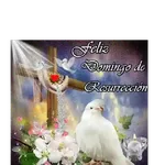 Pascua/Resurrección ➕✨