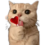 San Valentín 2 ♥️ Paleta 🍭