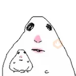 🐹 Hamster Tiktok 2📱