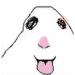 Hamster