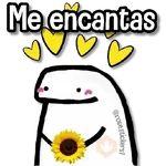 Flork Coo|🌟🪄