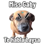 mis amigos 