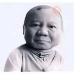 Prabowo Meme 🌴