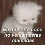 🥳 RAMDOM CONTESTABLES 😎