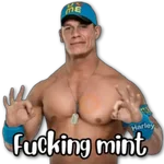 FuCking MiNt Challenger 😂🤣 