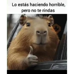 PALABRAS